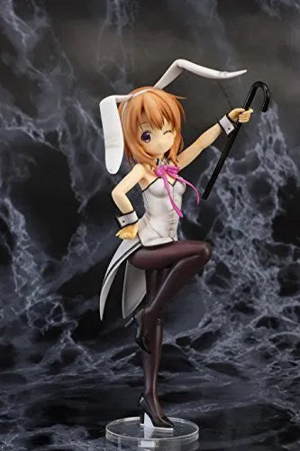 Gochuumon wa Usagi Desu ka?? - Hoto Kokoa - 1/8 - Bunny ver (Pulchra)ㅤ – Pulchra – ActionFigureBrasil