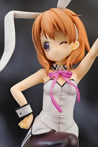Gochuumon wa Usagi Desu ka?? - Hoto Kokoa - 1/8 - Bunny ver (Pulchra)ㅤ – Pulchra – ActionFigureBrasil