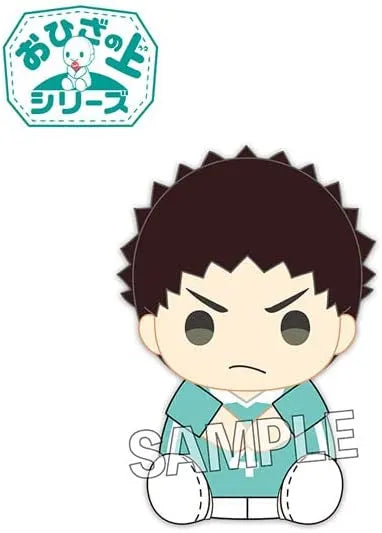 Haikyuu!! - Iwaizumi Hajime - O Hiza no Ue Series (Proof)ㅤ – PROOF – ActionFigure Brasil
