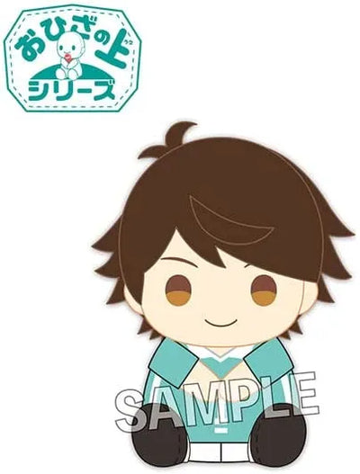 Haikyuu!! - Oikawa Tooru - O Hiza no Ue Series (Proof)ㅤ – PROOF – ActionFigure Brasil