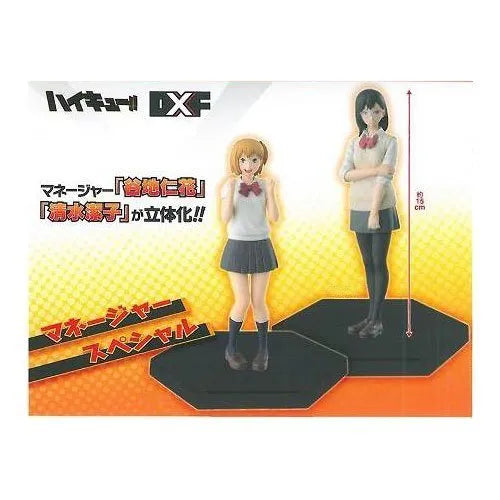 Haikyuu!! - Shimizu Kiyoko - Yachi Hitoka - DXF Figure - Haikyuu!! DXF Figure Manager Special - Manager Specialㅤ – Banpresto – ActionFigure Brasil
