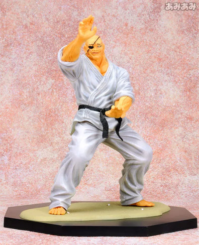 "Hanma Baki" RDF Orochi Doppo Normal Editionㅤ – Puella Magi Madoka Magica – ActionFigureBrasil