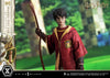 Harry Potter (Quidditch Edition) - LIMITED EDITION: TBD (Pré-venda)