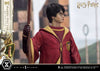 Harry Potter (Quidditch Edition) - LIMITED EDITION: TBD (Pré-venda)