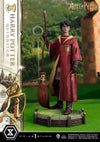 Harry Potter (Quidditch Edition) - LIMITED EDITION: TBD (Pré-venda)