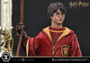 Harry Potter (Quidditch Edition) - LIMITED EDITION: TBD (Pré-venda)