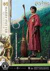 Harry Potter (Quidditch Edition) - LIMITED EDITION: TBD (Pré-venda)