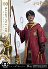 Harry Potter (Quidditch Edition) - LIMITED EDITION: TBD (Pré-venda)