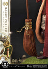 Harry Potter (Quidditch Edition) - LIMITED EDITION: TBD (Pré-venda)