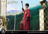 Harry Potter (Quidditch Edition) - LIMITED EDITION: TBD (Pré-venda)