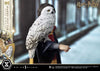 Harry Potter - LIMITED EDITION: TBD (Harry Potter With Hedwig) (Pré-venda)