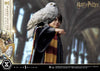 Harry Potter - LIMITED EDITION: TBD (Harry Potter With Hedwig) (Pré-venda)