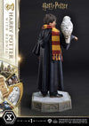 Harry Potter - LIMITED EDITION: TBD (Harry Potter With Hedwig) (Pré-venda)