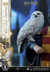 Harry Potter - LIMITED EDITION: TBD (Harry Potter With Hedwig) (Pré-venda)