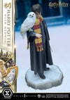 Harry Potter - LIMITED EDITION: TBD (Harry Potter With Hedwig) (Pré-venda)