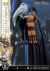 Harry Potter - LIMITED EDITION: TBD (Harry Potter With Hedwig) (Pré-venda)