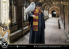 Harry Potter - LIMITED EDITION: TBD (Harry Potter With Hedwig) (Pré-venda)