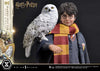 Harry Potter - LIMITED EDITION: TBD (Harry Potter With Hedwig) (Pré-venda)