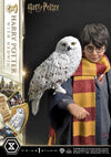 Harry Potter - LIMITED EDITION: TBD (Harry Potter With Hedwig) (Pré-venda)