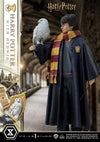 Harry Potter - LIMITED EDITION: TBD (Harry Potter With Hedwig) (Pré-venda)