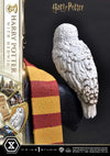 Harry Potter - LIMITED EDITION: TBD (Harry Potter With Hedwig) (Pré-venda)