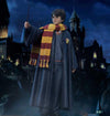 Harry Potter - LIMITED EDITION: TBD (Harry Potter) (Pré-venda)