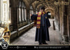 Harry Potter - LIMITED EDITION: TBD (Harry Potter) (Pré-venda)