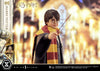 Harry Potter - LIMITED EDITION: TBD (Harry Potter) (Pré-venda)