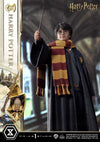 Harry Potter - LIMITED EDITION: TBD (Harry Potter) (Pré-venda)