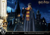 Harry Potter - LIMITED EDITION: TBD (Harry Potter) (Pré-venda)