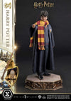 Harry Potter - LIMITED EDITION: TBD (Harry Potter) (Pré-venda)