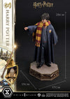 Harry Potter - LIMITED EDITION: TBD (Harry Potter) (Pré-venda)