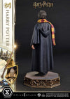 Harry Potter - LIMITED EDITION: TBD (Harry Potter) (Pré-venda)