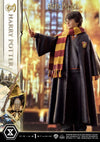 Harry Potter - LIMITED EDITION: TBD (Harry Potter) (Pré-venda)