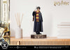 Harry Potter - LIMITED EDITION: TBD (Harry Potter) (Pré-venda)