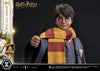 Harry Potter - LIMITED EDITION: TBD (Harry Potter) (Pré-venda)