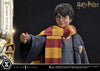 Harry Potter - LIMITED EDITION: TBD (Harry Potter) (Pré-venda)