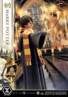 Harry Potter - LIMITED EDITION: TBD (Harry Potter) (Pré-venda)