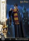 Harry Potter - LIMITED EDITION: TBD (Harry Potter) (Pré-venda)