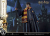 Harry Potter - LIMITED EDITION: TBD (Harry Potter) (Pré-venda)