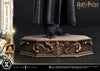 Harry Potter - LIMITED EDITION: TBD (Harry Potter) (Pré-venda)