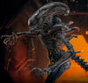 Scorched Xenomorph (Mms784)