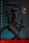 Scorched Xenomorph (Mms784)