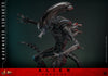 Scorched Xenomorph (Mms784)