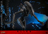 Scorched Xenomorph (Mms784)