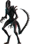 Scorched Xenomorph (Mms784)