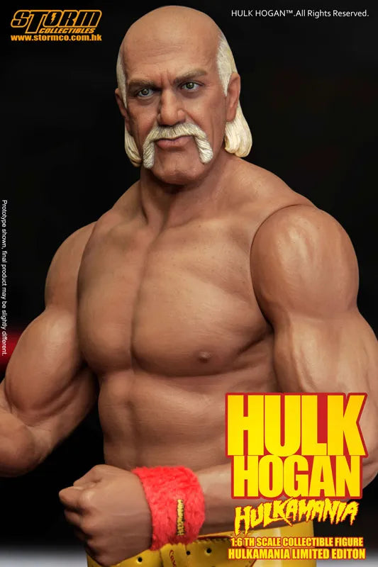Hulk Hogan Hulkamania 1/6 Action Figureㅤ – Puella Magi Madoka Magica – ActionFigureBrasil