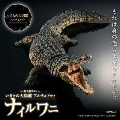 Ikimono Encyclopedia Ultimate - Nile Crocodile (Bandai Spirits) [Shop Exclusive]ㅤ – Shop Exclusive – ActionFigureBrasil — ângulo diferente
