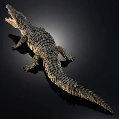 Ikimono Encyclopedia Ultimate - Nile Crocodile (Bandai Spirits) [Shop Exclusive]ㅤ – Shop Exclusive – ActionFigureBrasil — close