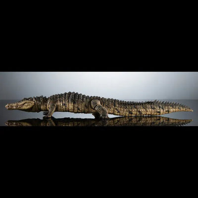 Ikimono Encyclopedia Ultimate - Nile Crocodile (Bandai Spirits) [Shop Exclusive]ㅤ – Shop Exclusive – ActionFigureBrasil — acessórios